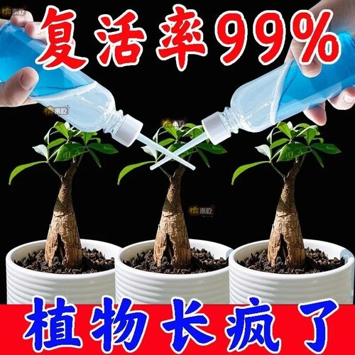 艾尚棵植物再生剂浓缩营养液