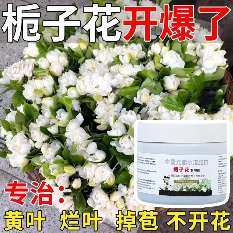 液体栀子花有机缓释叶面肥图片
