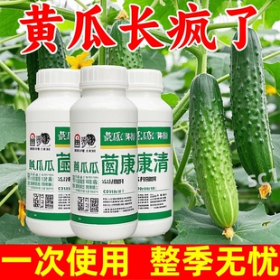 黄瓜病菌清复合微生物菌剂黄瓜长黄瓜旱黄瓜蔬菜水果专用叶面肥料