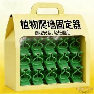 买就送绿植爬墙固定器挂钩卡扣