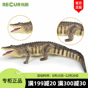 recur悦酷【短吻鳄】大号仿真动物模型儿童玩具男女孩生日礼品