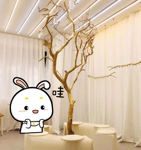 去皮干树枝造景室内原木装饰