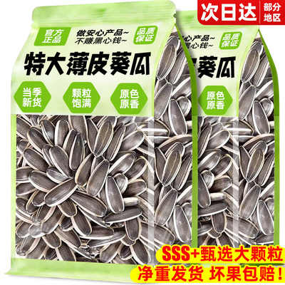 【官方补贴！】内蒙特大颗葵花籽