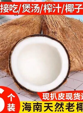 海南老椰子新鲜奶香青椰文昌现摘水果去皮椰肉榨汁煲鸡汤椰奶椰子