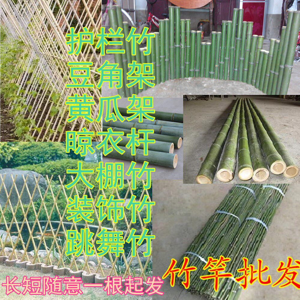 竹竿菜架豆角黄瓜番茄丝瓜苦瓜葡萄菜园搭架竹杆竹子竹片栅栏围|ruв категории доставка цветов/цветок моделирования/растения садоводства, садовых принадлежностей, большой забор/забор - от Buy2taobao.com для оказания профессиональной услуги покупки агента Taobao