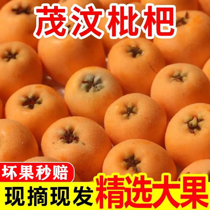 枇杷鲜果四川汶川攀枝花米易枇杷新鲜水果整箱当季琵琶果枇把孕妇