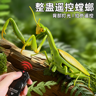 遥控螳螂电动仿真儿童玩具会动的爬行小动物整蛊蚂蚱蟑螂神器昆虫