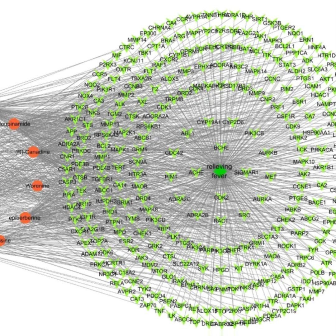 网状meta分析随机对照试验间接比较排序
