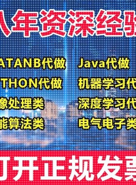 matlab代编程序代做帮做python代码复现算法仿真编写深度机器学习