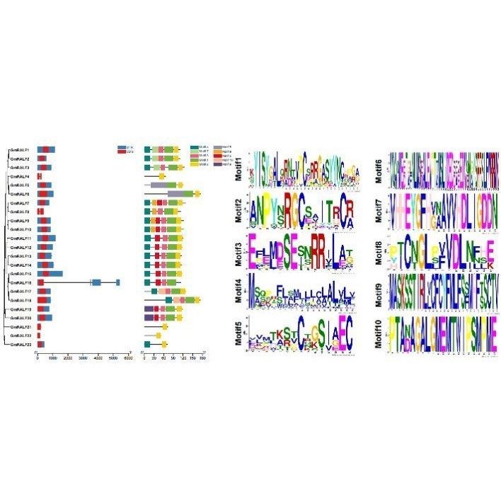 CLIPseqRNA结合蛋白定量分析遗传学Chlp-seq1对1辅导
