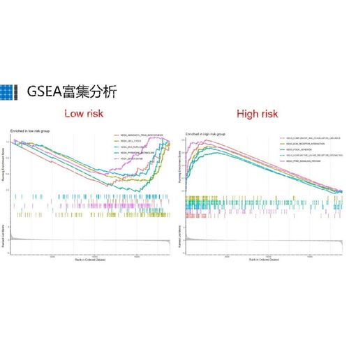 TCGA数据库免疫基因预后(免疫治疗/生存分析/WGCNA共表达网络)
