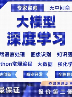 python大模型深度学习/神经网络/算法优化/损失函数/代编程代做