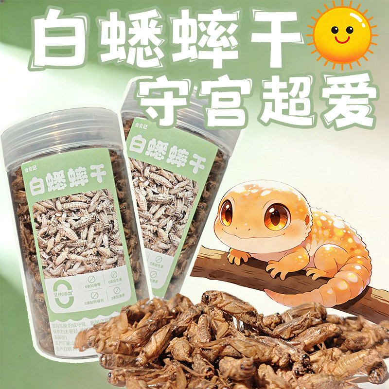 优质白蟋蟀干天然无添加守宫蜥蜴爬虫/鸣虫食物