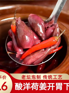 酸洋荷姜腌制泡菜新鲜阳荷姜洋火姜下饭菜陕南安康土特产湖北恩施