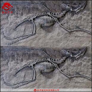 原角翼龙肿头龙迅猛龙化石块儿童沙坑考古发掘仿真恐龙玻璃钢化石