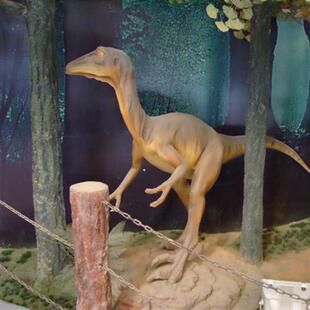 大型仿真恐龙机器电动动物模型游乐园公园广场户外摆件设施