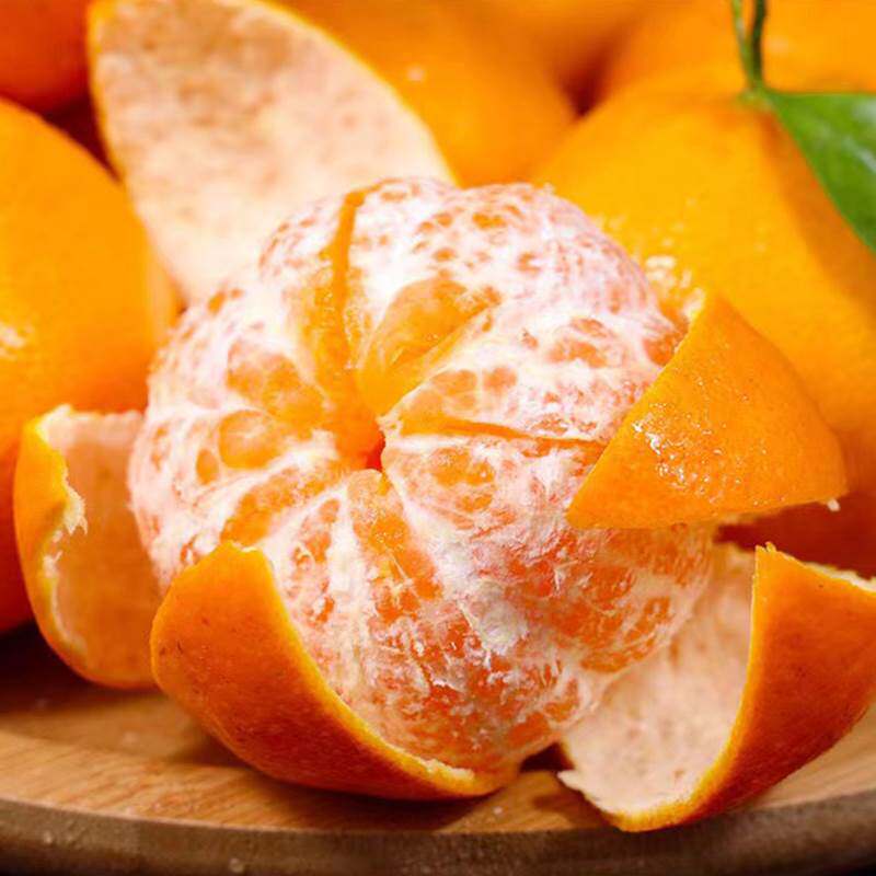 小燕子农庄春见耙耙柑武胜大雅柑天然纯甜新鲜水果应季特级果广安