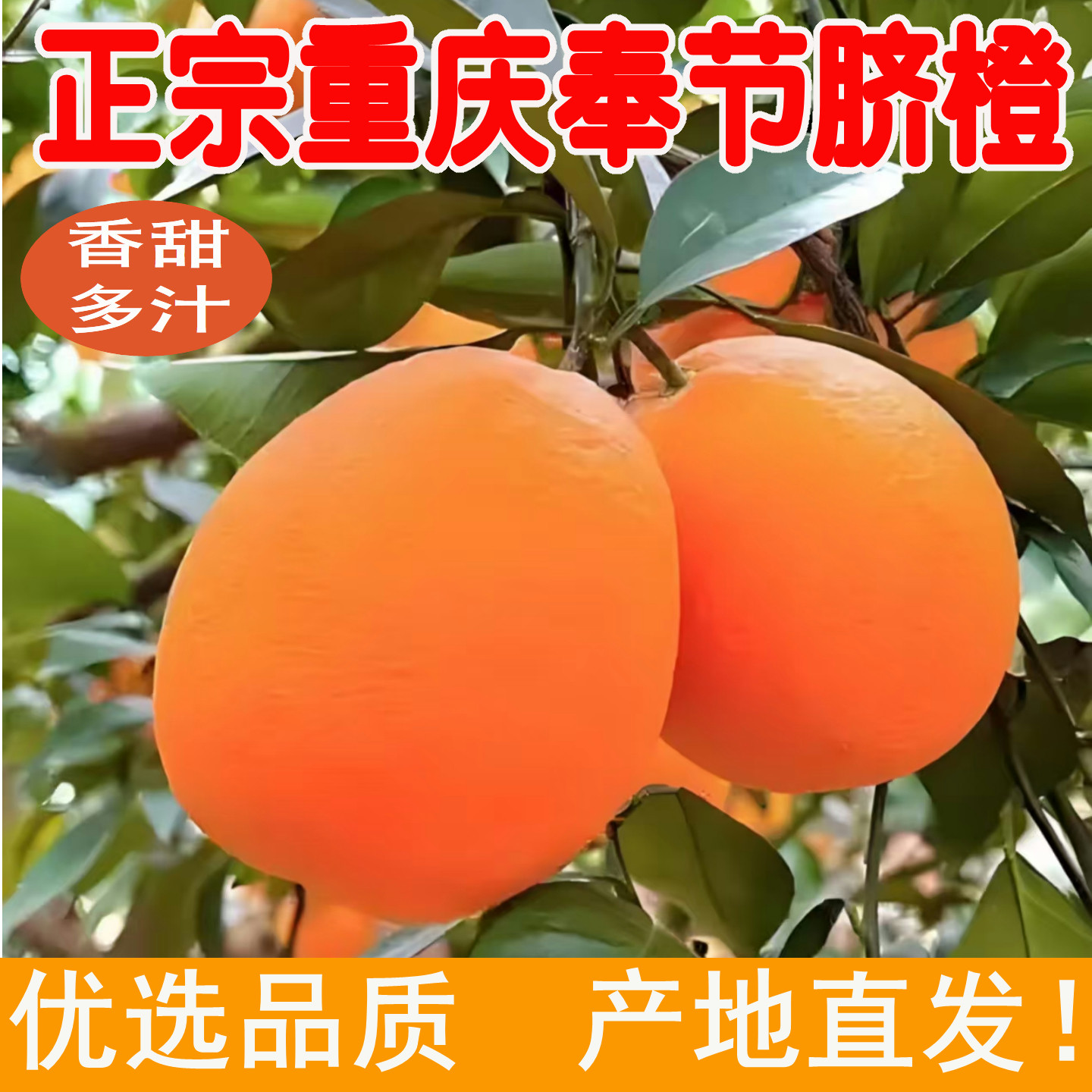 正宗重庆奉节脐橙纽荷尔新鲜水果橙子20斤可榨汁脆嫩甜橙产地直发,水产肉类/新鲜蔬果/熟食,橙,淘宝优惠券,粉丝福利购,淘宝优惠卷