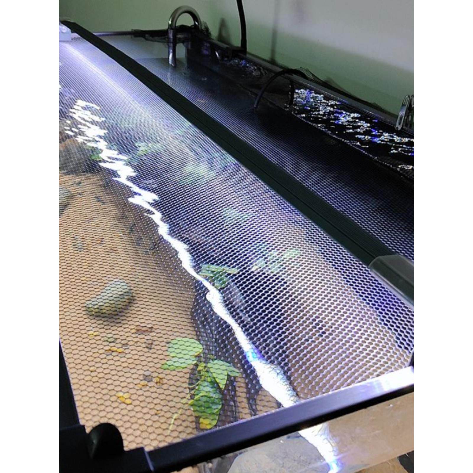 新疆包邮鱼缸防跳网磁性磁铁放跳缸鱼缸防逃网盖雷龙防跳网乌龟