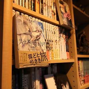 新疆西藏包邮A4漫画加厚展示架A5隔断展示架图书馆书架书店书托架