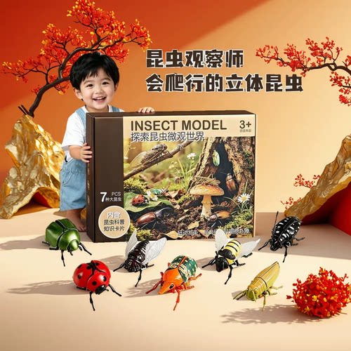 发条昆虫世界儿童爬行知了玩具模型仿真动物上链条甲壳虫七星瓢虫