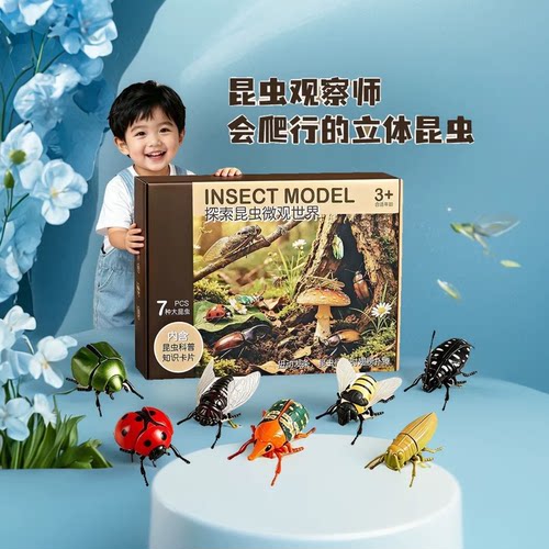 发条昆虫世界儿童爬行知了玩具模型仿真动物上链条甲壳虫七星瓢虫