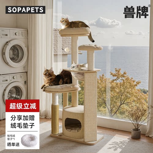 小户型不占地｜多猫可用猫爬架