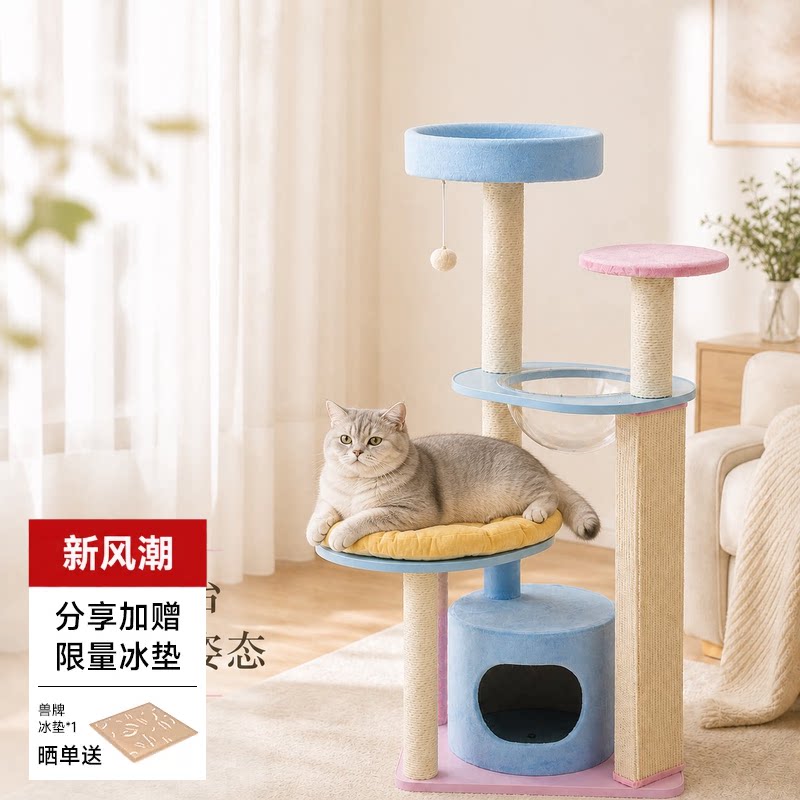 兽牌调色盘宠物猫爬架图片