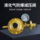 生力牌液化气防爆减压阀家用煤气瓶煤气罐高低压阀金属管铠装 管