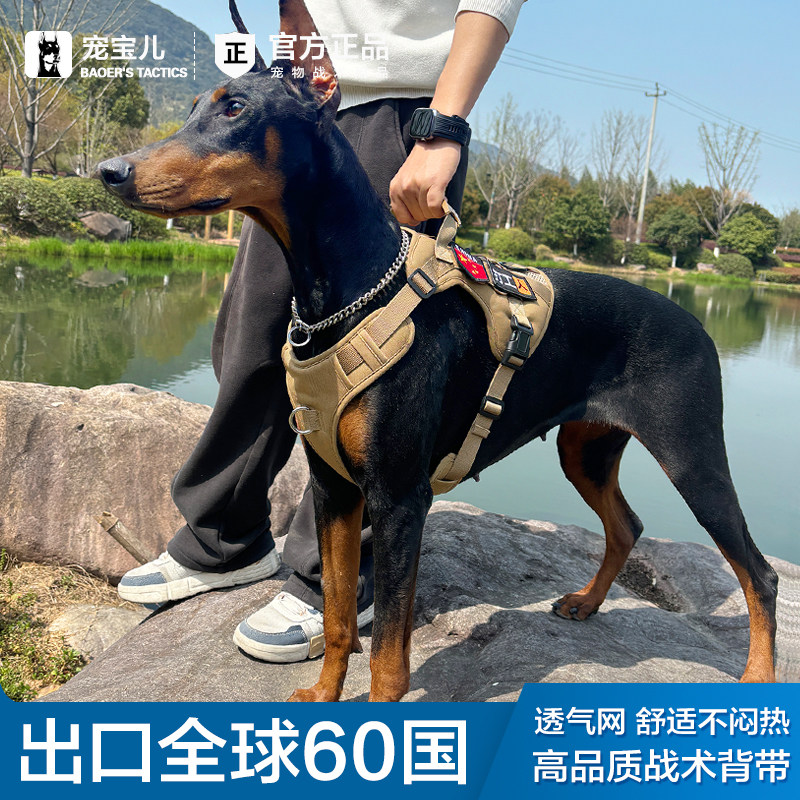 狗狗胸背带防爆冲牵引绳