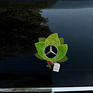【去霉运】奔驰立标帽子柚子叶前标车标迷你装饰品摆件立标装饰品