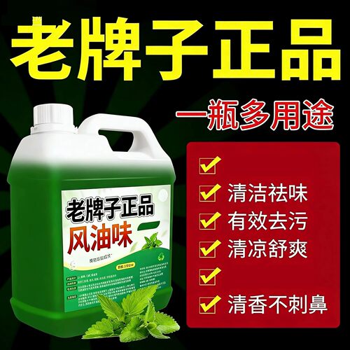 拖地祛味污风油味老牌子