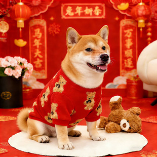狗狗新年衣服大型犬过年喜庆棉衣春节加厚加绒保暖秋冬天金毛边牧