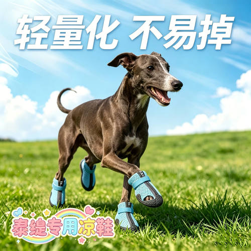 灵缇专用幼犬狗狗凉鞋小狗鞋子夏天透气宠物狗夏季软底甩不掉网眼