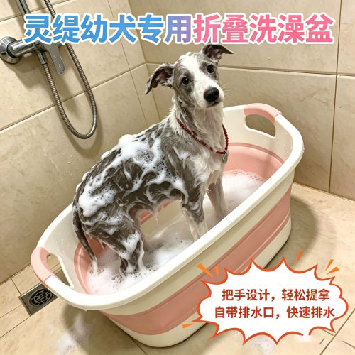 灵缇幼犬专用狗狗洗澡盆宠物小狗游泳池可折叠浴盆泳池洗澡桶家用