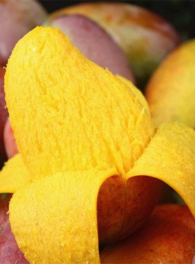 海南树上熟贵妃芒4斤装 香甜芒果 甜蜜多汁 收货直接可以吃