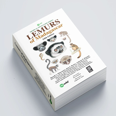 马达加斯加狐猴第五版