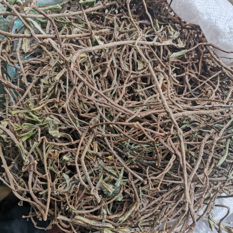 野生岩豇豆500克包邮 石吊兰黑乌骨石泽兰岩枇杷贵州省中草药材