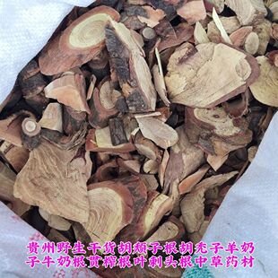 贵州野生干货胡颓子根胡秃子羊奶果子牛奶根贯榨根叶刺头中草药材