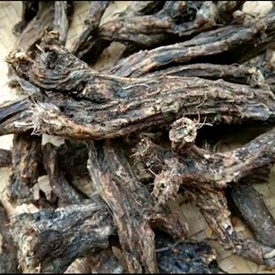 贵州野生中药材虎掌草新鲜草玉梅见风青狗脚迹溪畔银莲花500g包邮