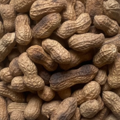 炒花生带壳原味大铁锅柴火炒花生农家手工老式地锅湿沙炒蒜味花生