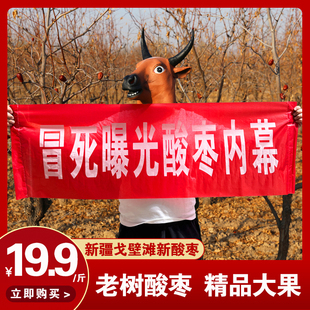 新疆野生酸枣果新鲜现摘戈壁滩特产2024现摘大酸枣仁泡水泡酒500g