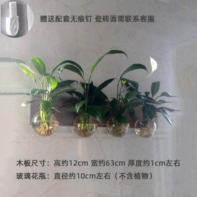 墙上植物居挂饰画家工艺创意玻璃花背景墙木板!水培装饰壁挂田器图片