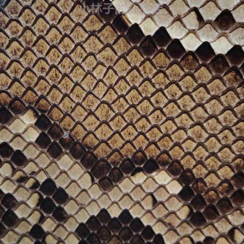 胡皮皮热瓦木念.三弦琴皮普扎高胡蒙皮二胡二胡坠琴中蟒皮