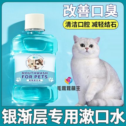 银渐层专用猫咪漱口水可食用宠物洁齿水小猫猫口腔清洁除清新口臭