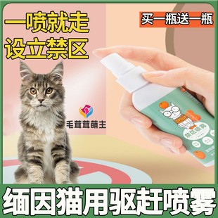 缅因猫用防止猫咪乱拉尿猫咪讨厌 喷雾宠物禁区橘子味驱猫喷雾剂