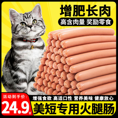 美短猫咪专用猫咪火腿肠两个月幼猫长胖零食小猫吃的食物增肥发腮