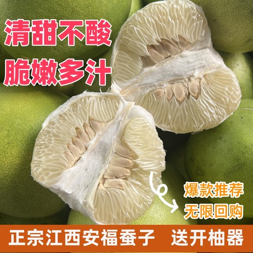 正宗金兰柚蜜柚安福蚕子