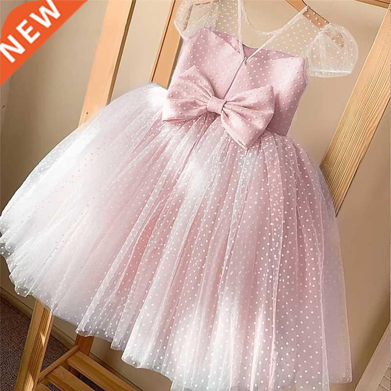 Girls Princess Kids Dresses for Girls Tutu Lace Flower Embro