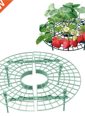 Strawerry Growing Supporter Garden alcony Planting Rack Pl